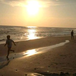 Meet your Posher, Audrey